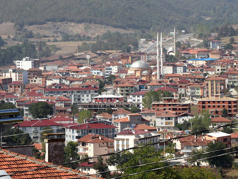 Kavak Hurdacı